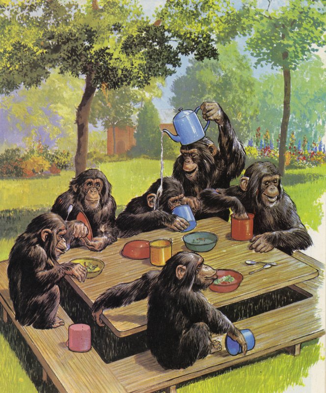Fiesta del té de los chimpancés en el zoológico de English School
