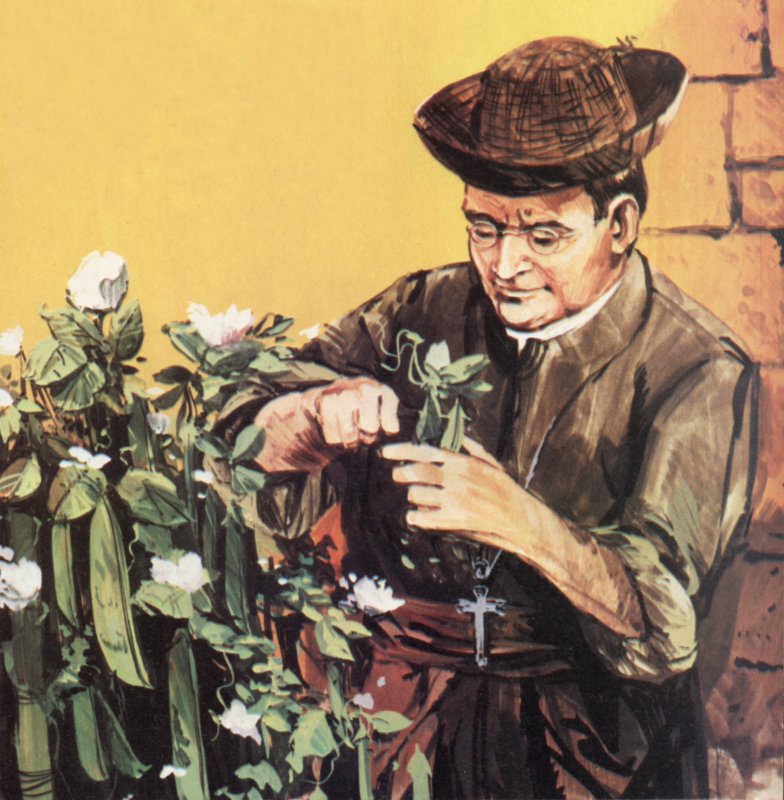 Johann Mendel trabajando en el jardín de su monasterio de English School