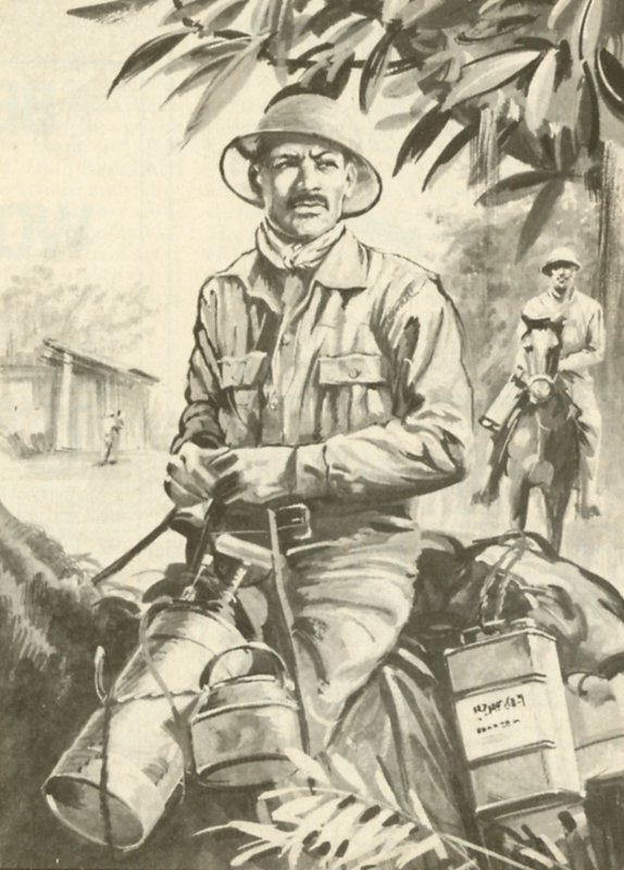 Ronald Ross de English School