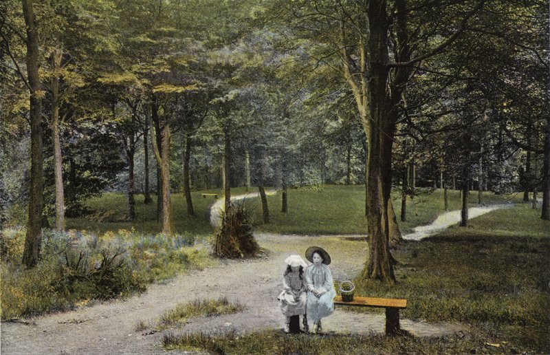 Buxton, Bosques de Corbar de English Photographer