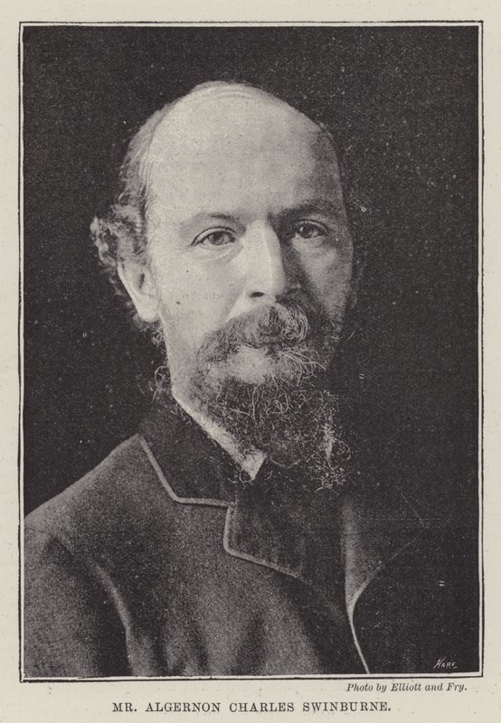 Mr. Algernon Charles Swinburne de English Photographer