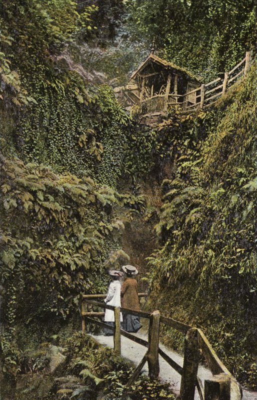 Shanklin Chine de English Photographer