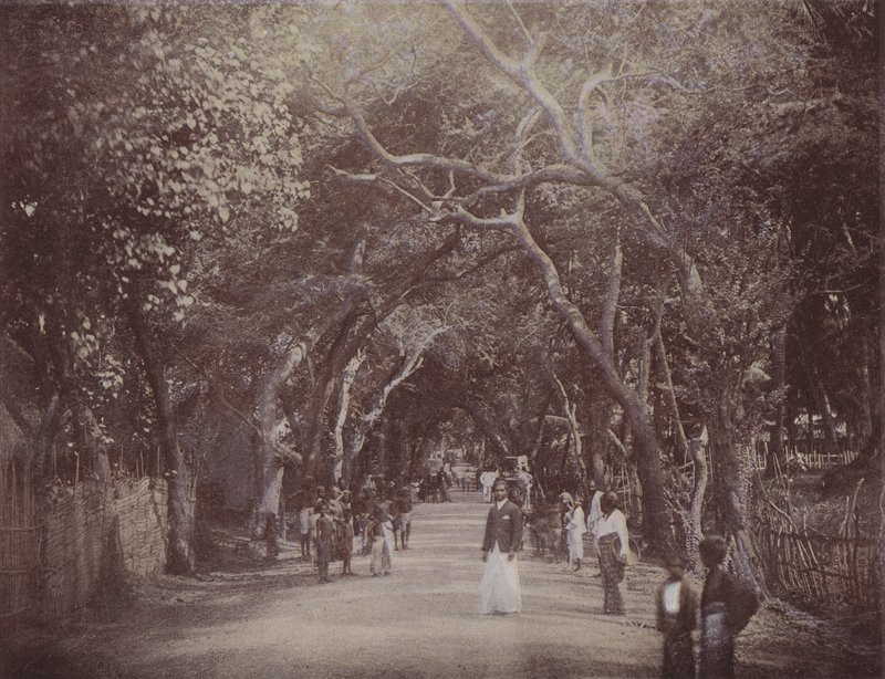 Skinners Road, Colombo de English Photographer