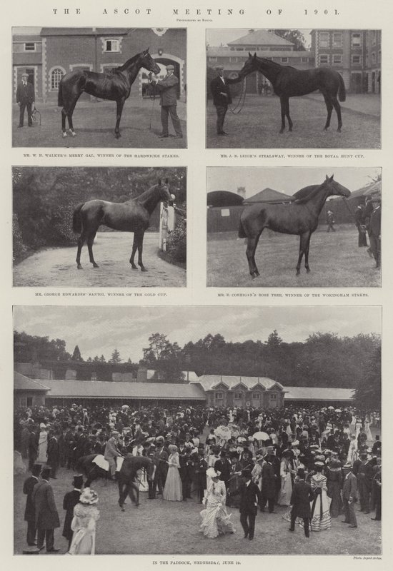 La reunión de Ascot de 1901 de English Photographer