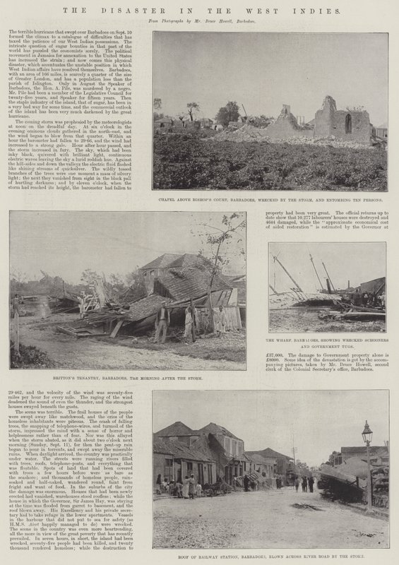 El Desastre en las Indias Occidentales de English Photographer