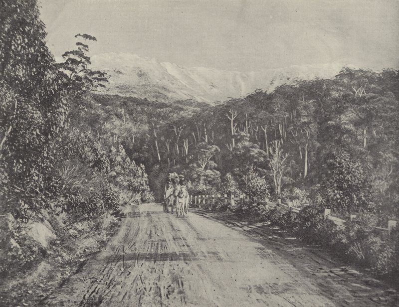El camino de Huon de English Photographer