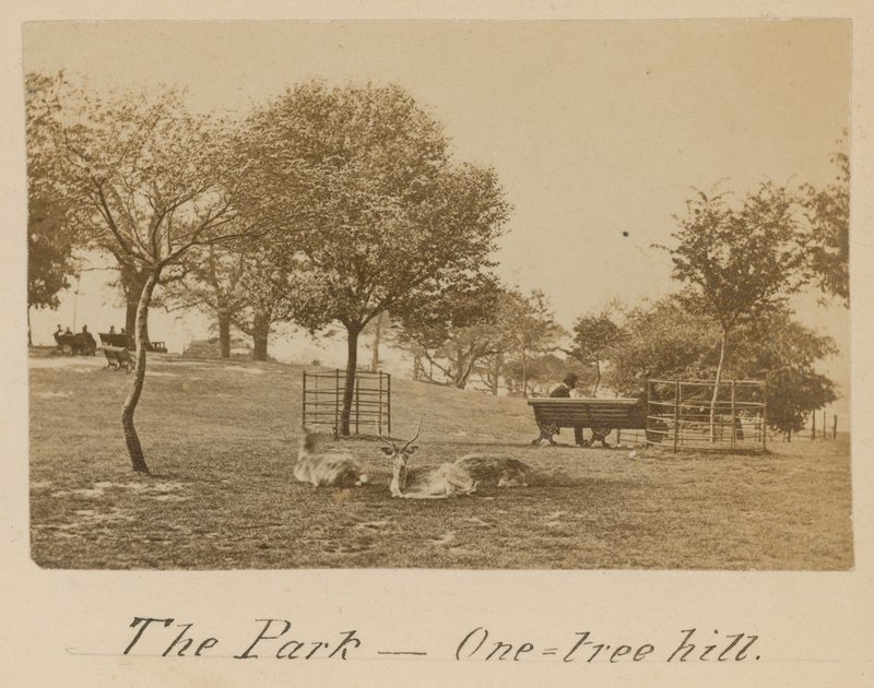 El Parque - One Tree Hill, Greenwich de English Photographer