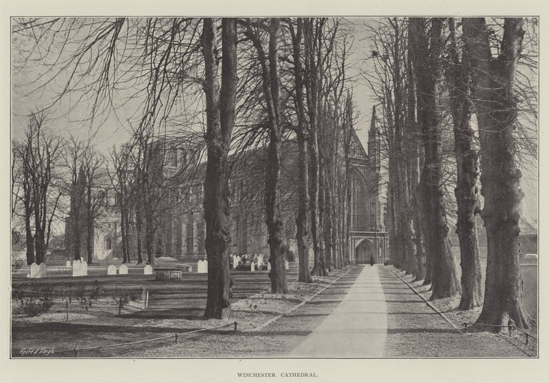 Catedral de Winchester de English Photographer