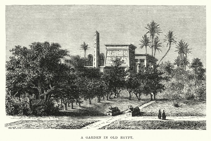 Un Jardín en el Antiguo Egipto (grabado) de English School