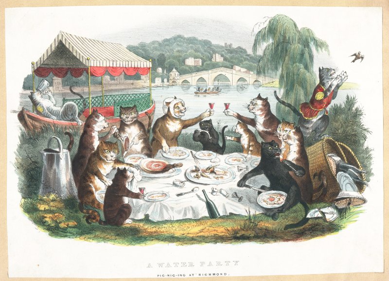 Una fiesta acuática - Picnic en Richmond de English School