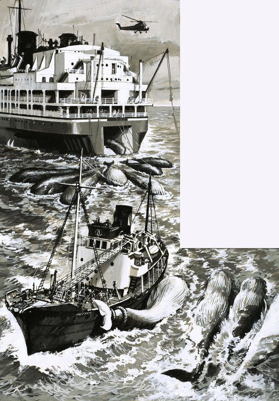 Un barco factoría ballenero de English School