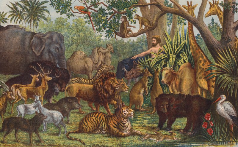 Adán nombra a los animales (litografía en color) de English School
