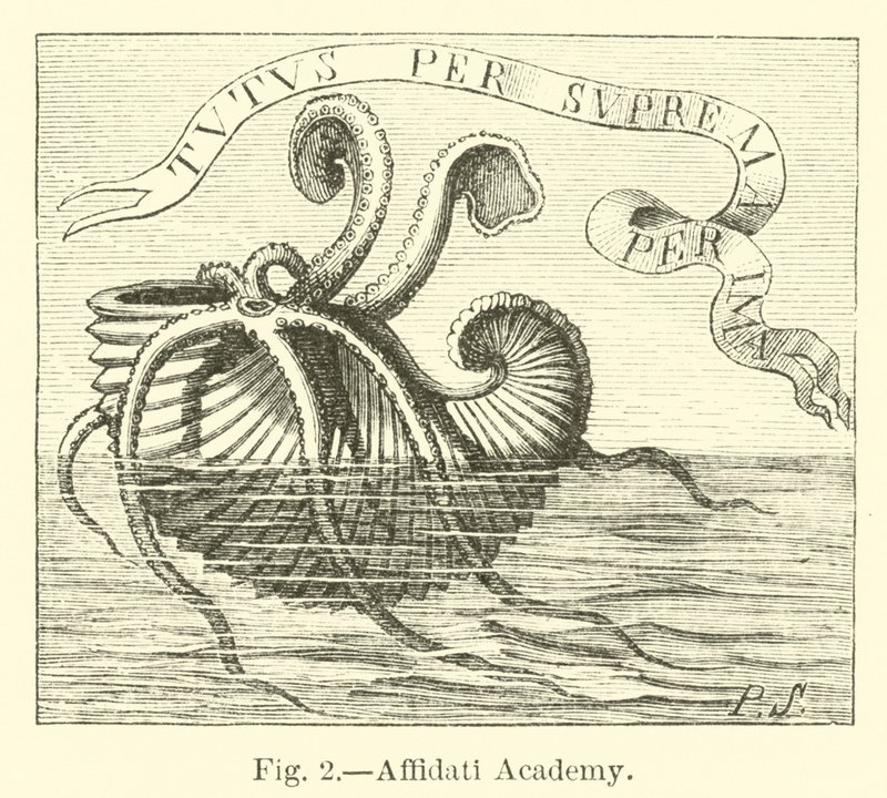 Academia Affidati de English School