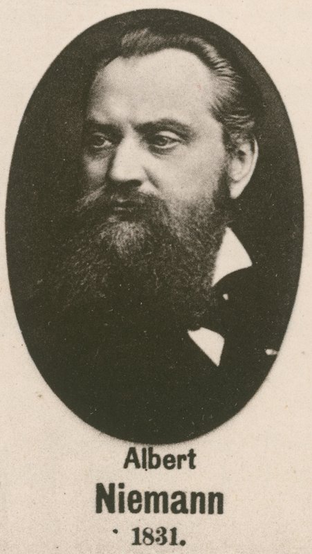 Albert Niemann de English School