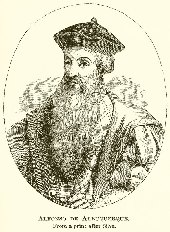 Alfonso de Albuquerque de English School
