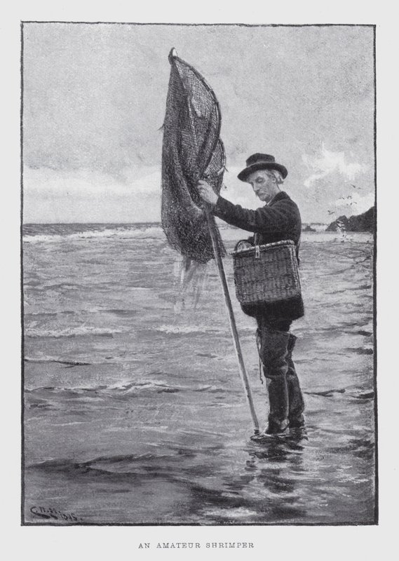 Un aficionado a la pesca de camarones de English School