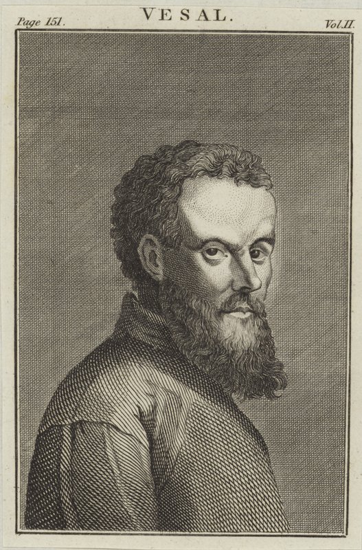 Andreas Vesalio de English School