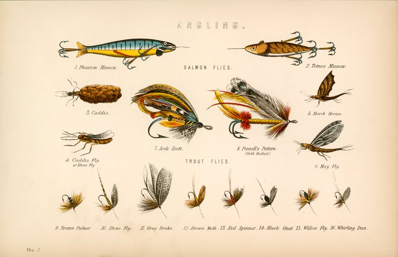 Pesca con caña de English School