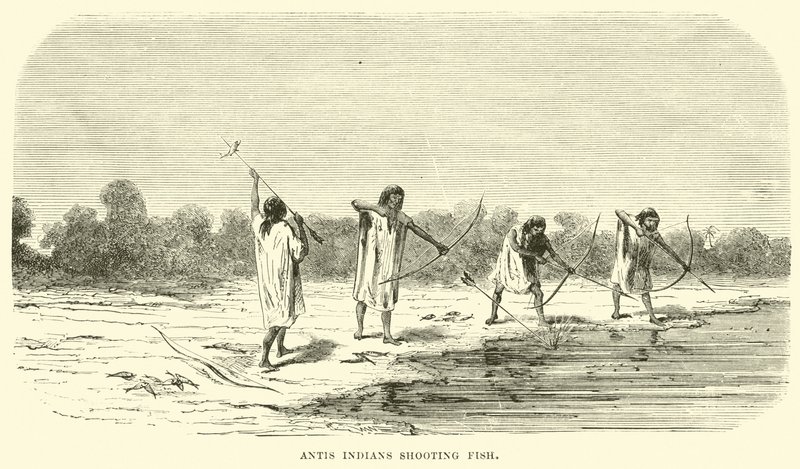 Indios Antis pescando de English School
