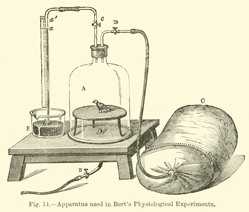 Aparato utilizado en los experimentos fisiológicos de Bert de English School