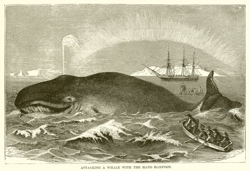 Atacando una ballena con el arpón de mano de English School