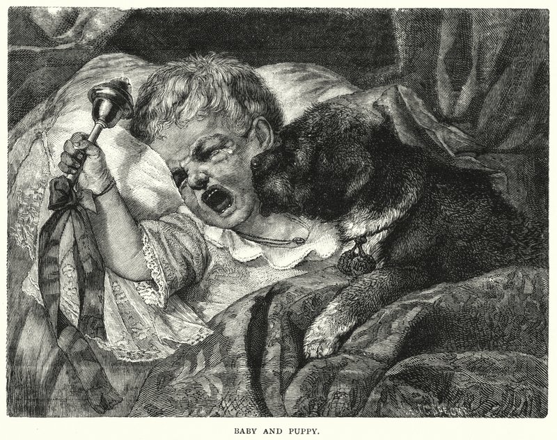 Bebé y cachorro (grabado) de English School