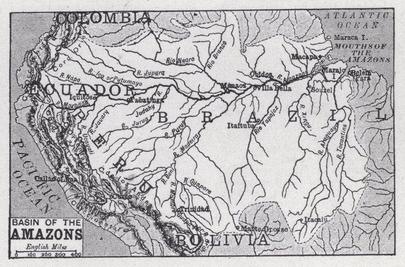 Cuenca de las Amazonas de English School