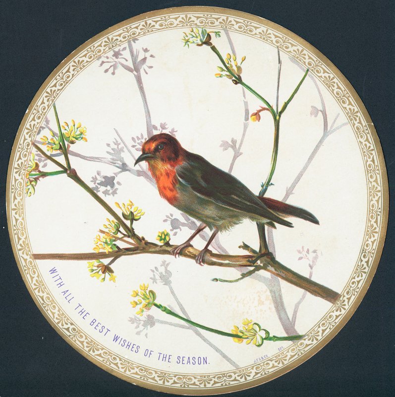 Pájaro, tarjeta de Navidad de English School
