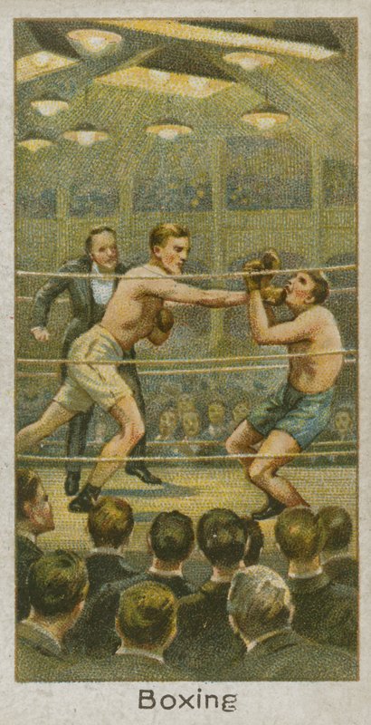 Boxeo de English School