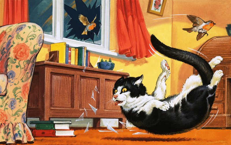 Gato cayendo a través de una ventana de vidrio de English School
