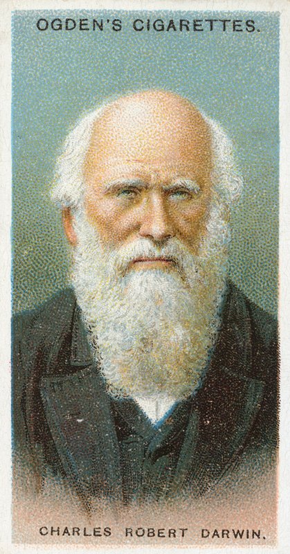 Charles Robert Darwin de English School