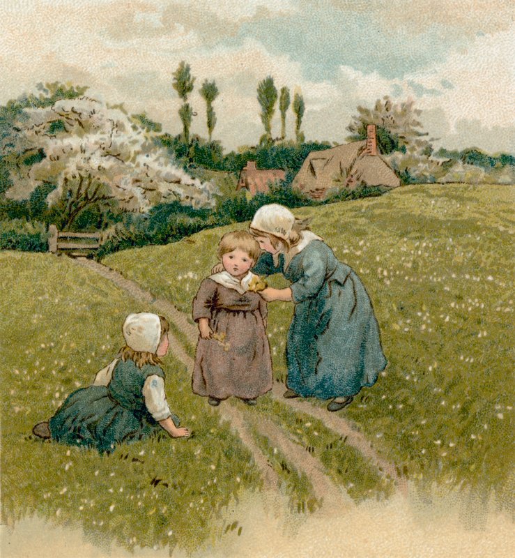 Niños de los Padres Peregrinos de English School