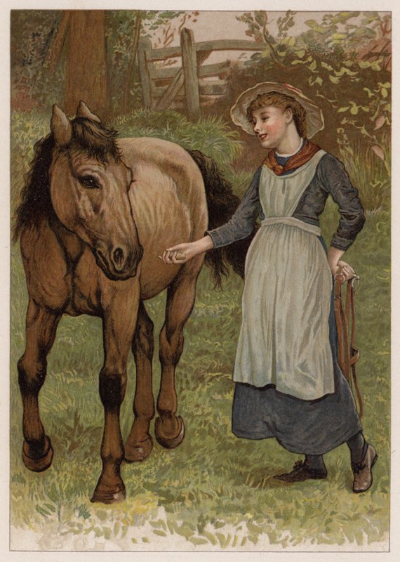 Clever Dobbin (cromolito) de English School