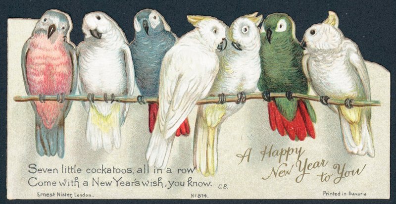 Cacatúas de English School