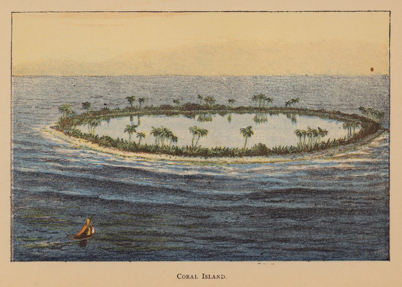 Coral Island (litografía en color) de English School