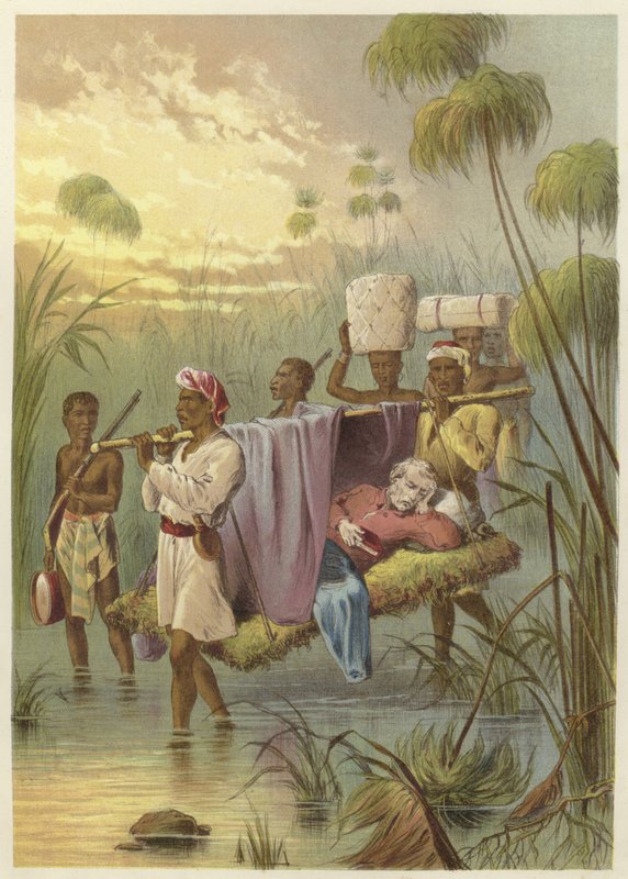 David Livingstone, la última milla de English School