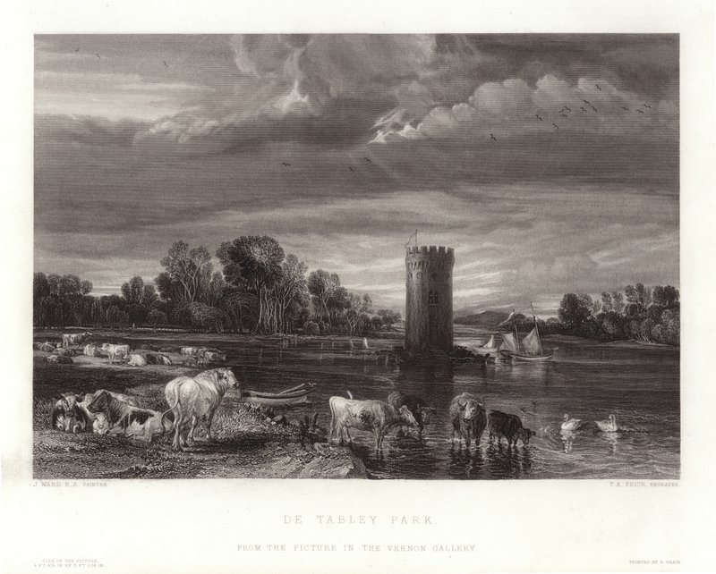 Parque De Tabley de English School