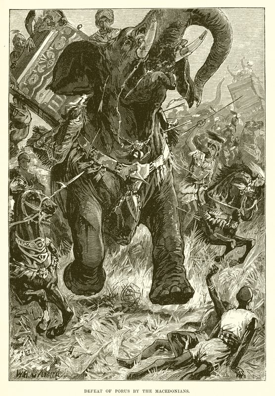 Derrota de Poros por los macedonios de English School