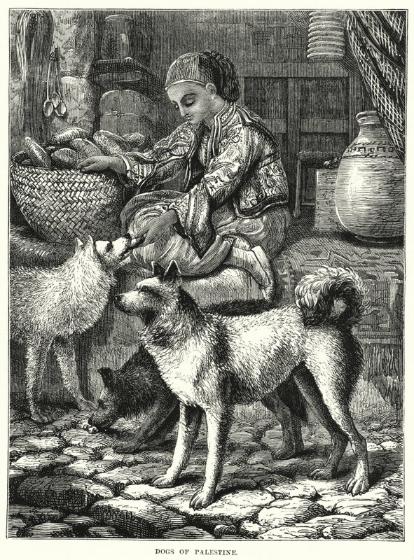 Perros de Palestina (grabado) de English School