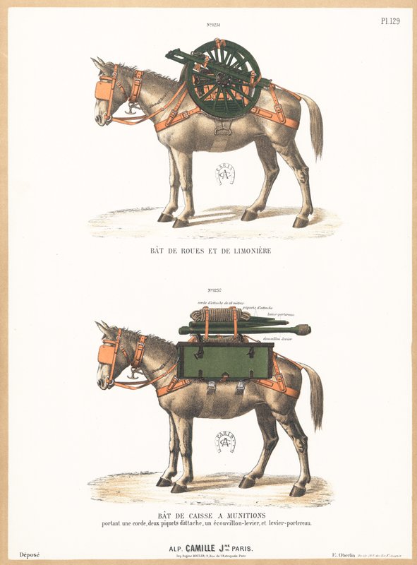 Burros con monturas de English School