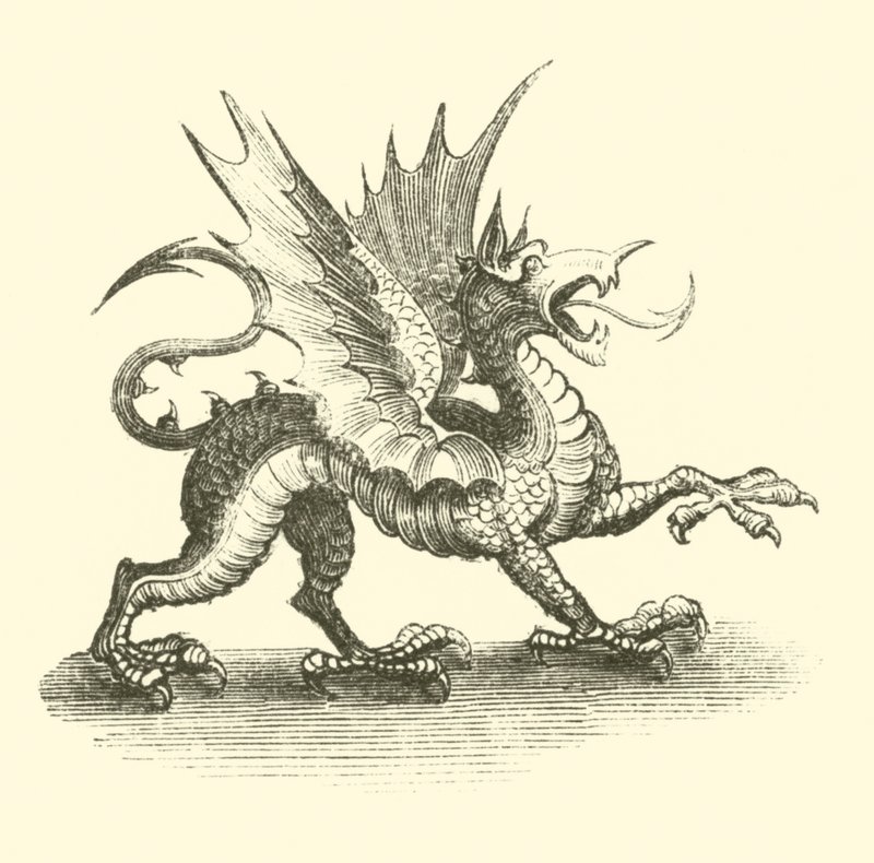 Dragón (grabado) de English School