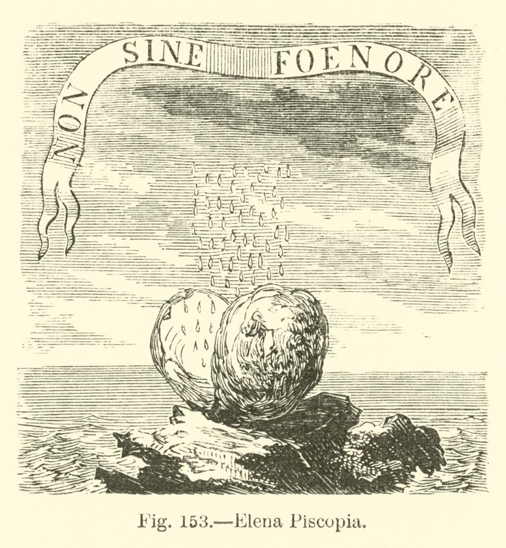 Elena Piscopia de English School