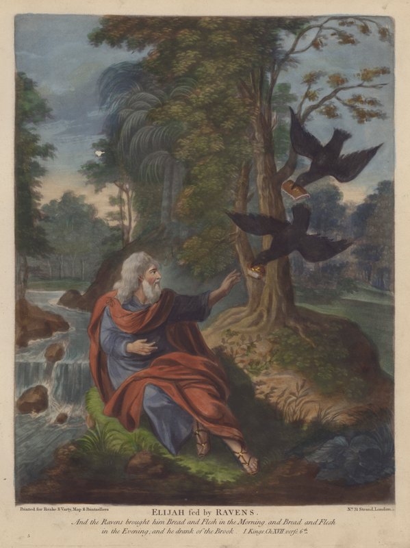 Elijah alimentada por cuervos (color litho) de English School