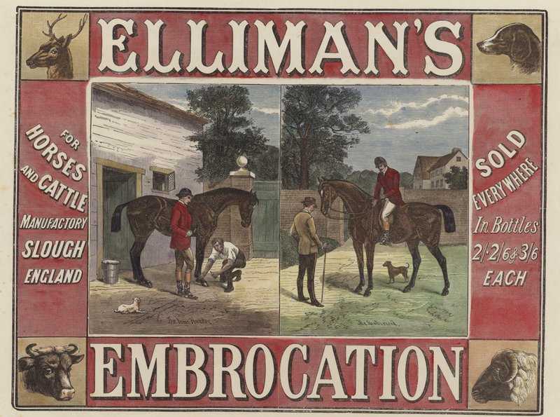 Embrocación de Elliman de English School