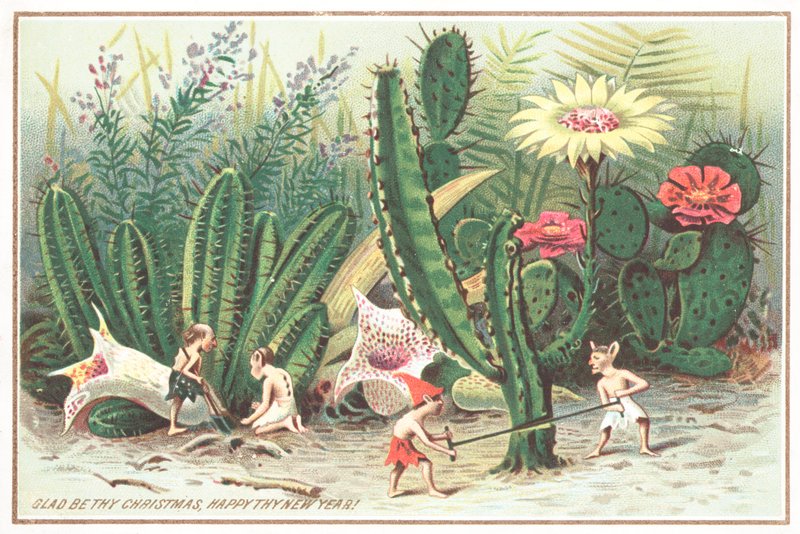 Duendes en el jardín, tarjeta de Navidad de English School