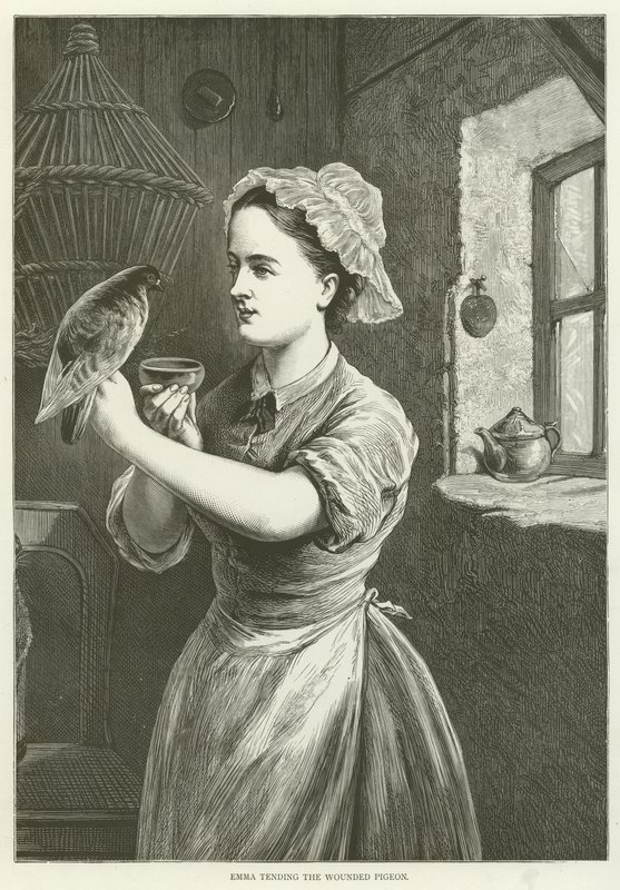 Emma cuidando la paloma herida de English School