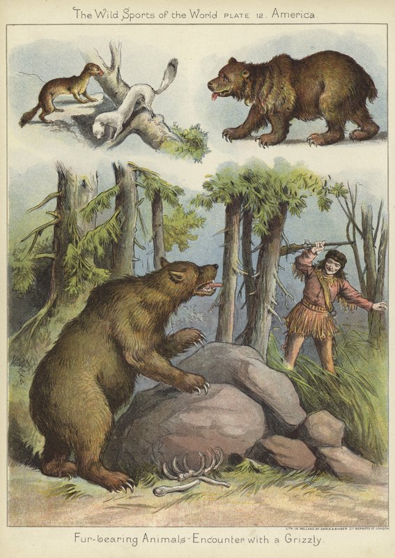 Encuentro con un oso grizzly de English School