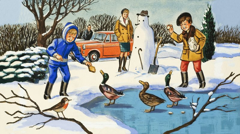 Alimentando patos de English School