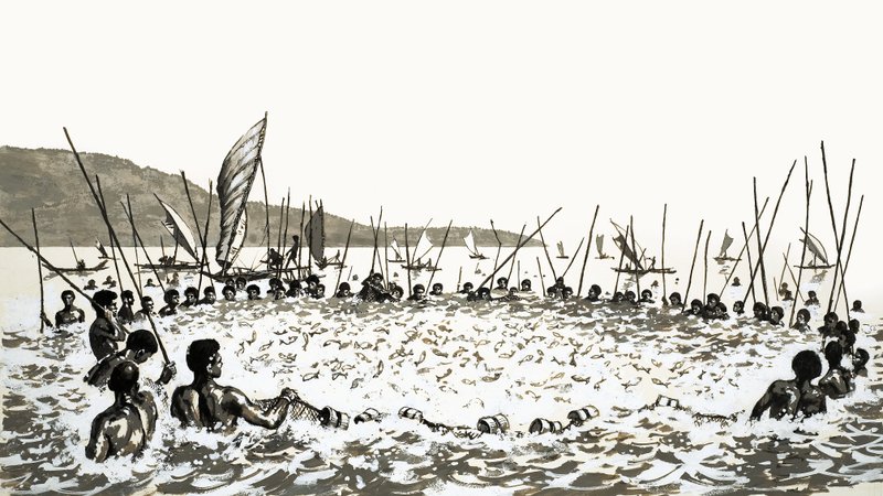 Pescadores en Fiyi de English School