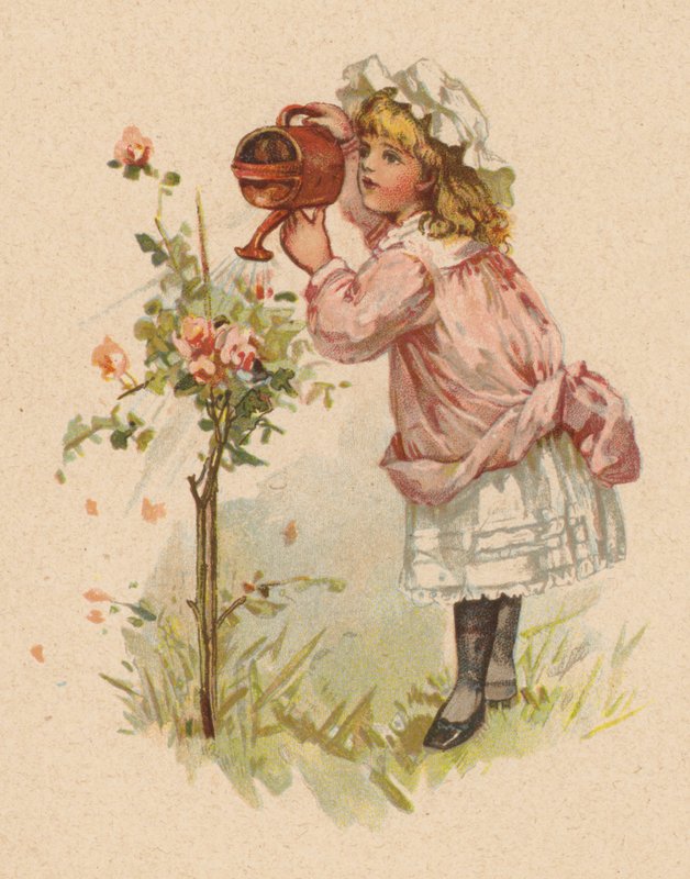 Niña regando rosas de English School